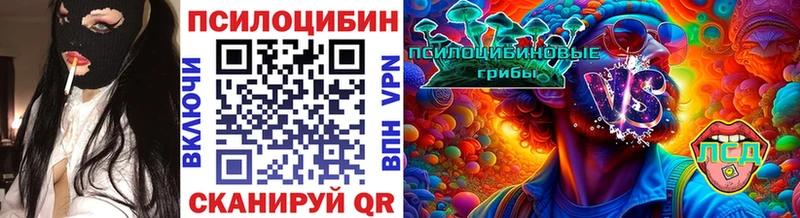 Псилоцибиновые грибы Psilocybine cubensis  Ясногорск 